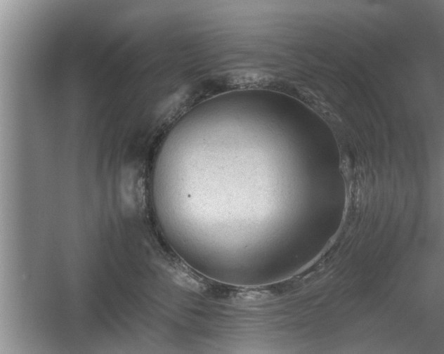 X0000060550716200511101537