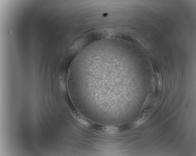 X0000060550719200511101537