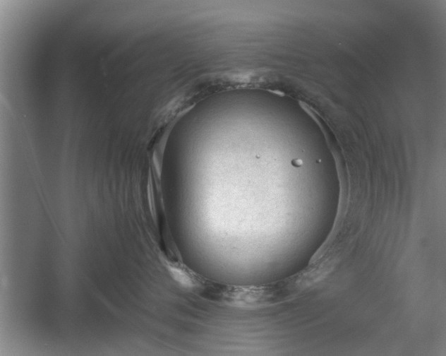 X0000060550720200511101537