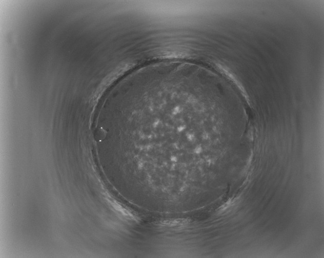 X0000060550721200511101536