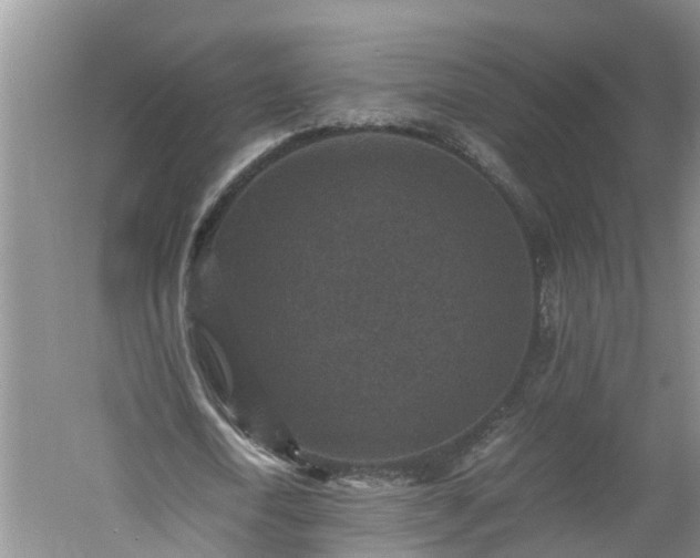 X0000060550722200511101536