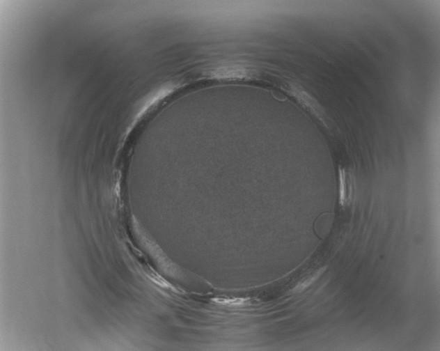 X0000060550723200511101536