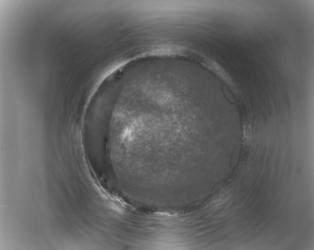 X0000060550724200511101536