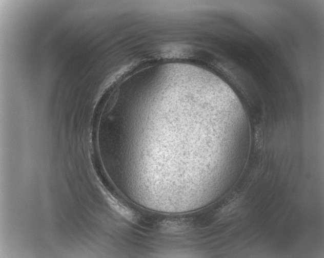 X0000060550725200511101536