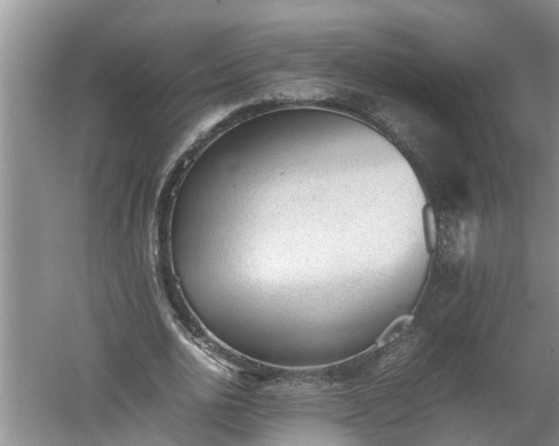 X0000060550726200511101536