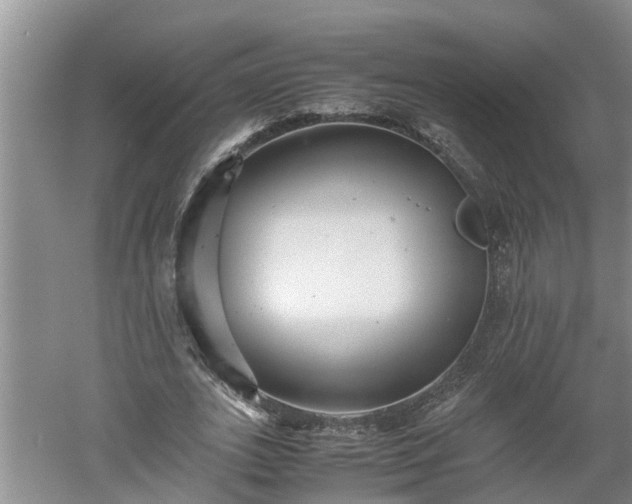 X0000060550727200511101536