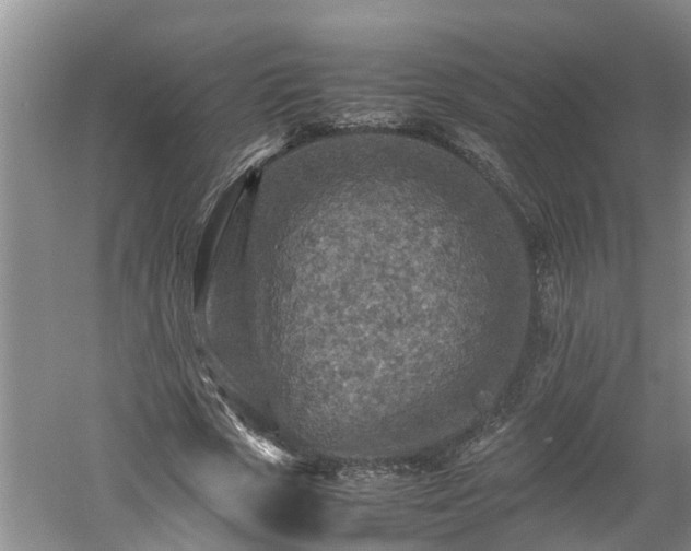 X0000060550729200511101536