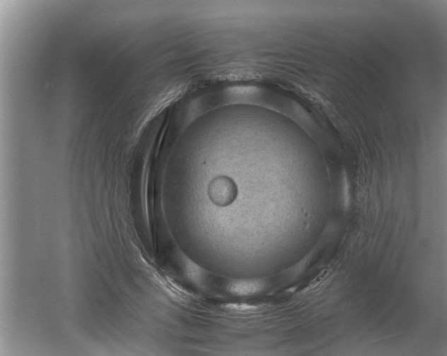 X0000060550735200511101537