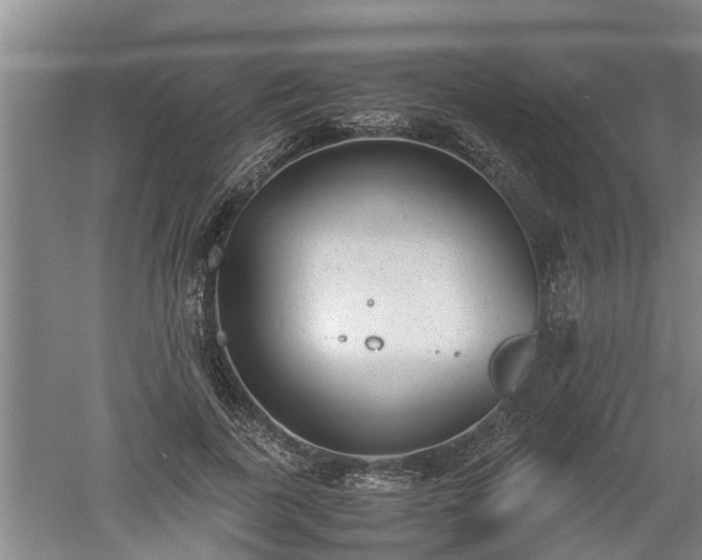 X0000060550739200511101537