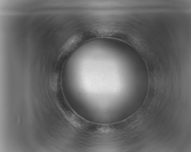 X0000060550742200511101537