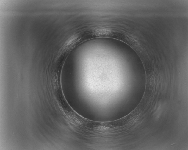 X0000060550743200511101537