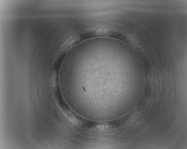 X0000060550744200511101537