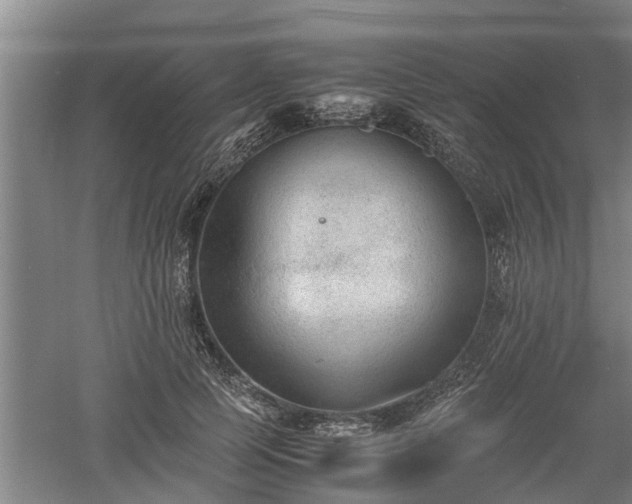 X0000060550745200511101537