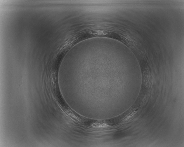 X0000060550747200511101537