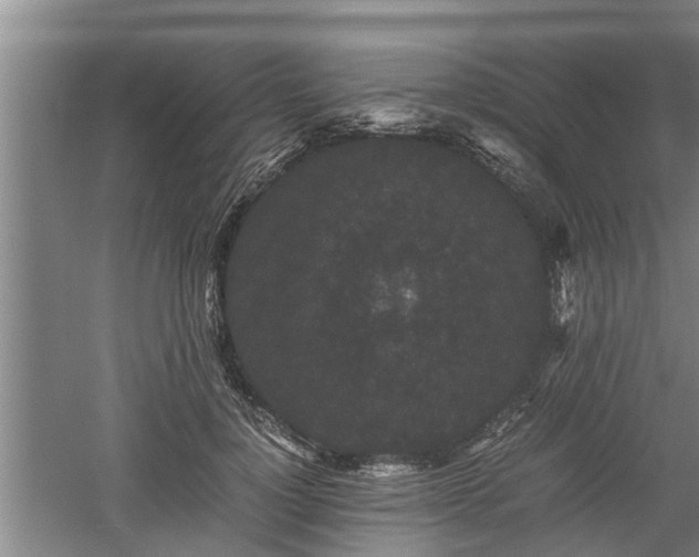 X0000060550748200511101537