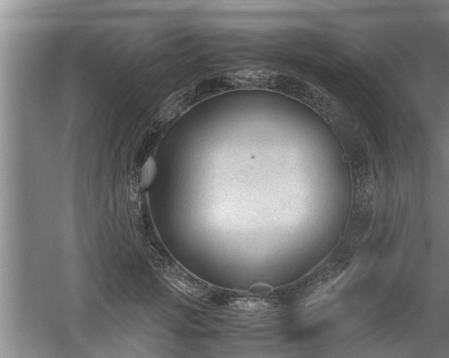 X0000060550749200511101537