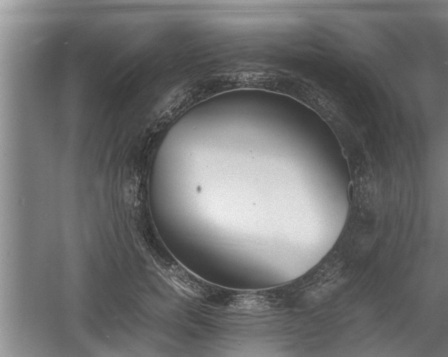 X0000060550750200511101537