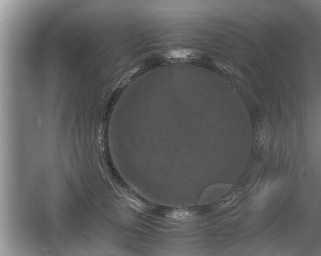 X0000060550759200511101537