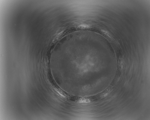 X0000060550760200511101537