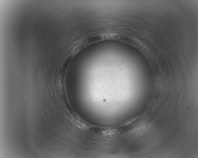 X0000060550761200511101537