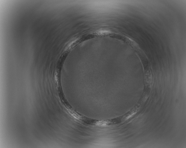 X0000060550762200511101537