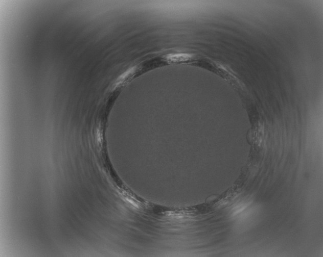 X0000060550763200511101537