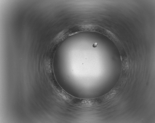 X0000060550764200511101537