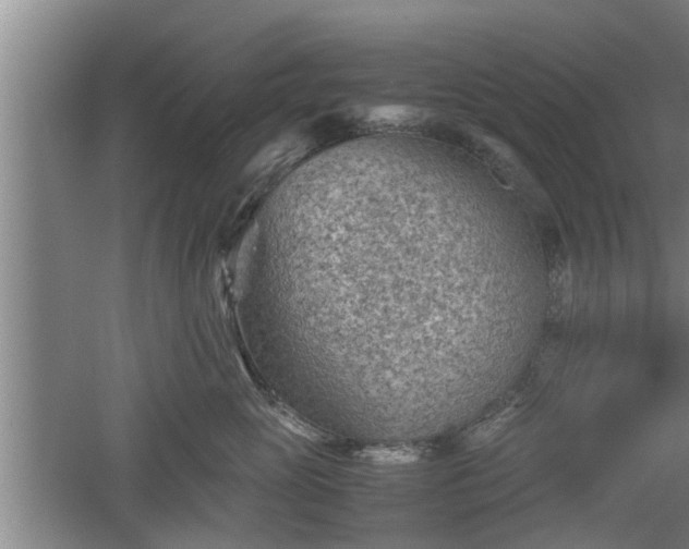 X0000060550765200511101537