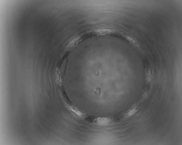 X0000060550766200511101537