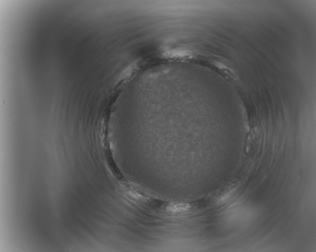 X0000060550767200511101537