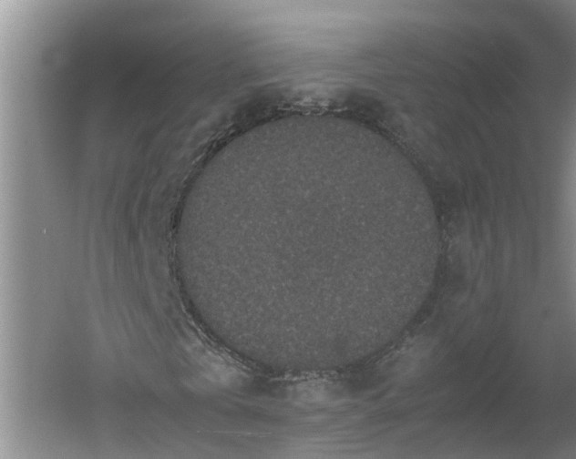 X0000060550769200511101536