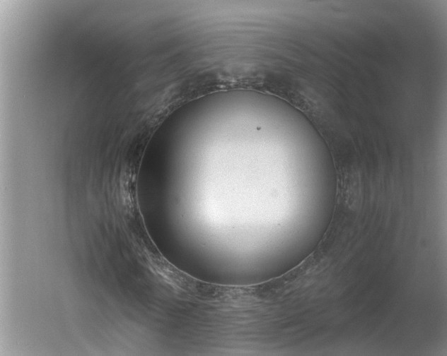 X0000060550770200511101536