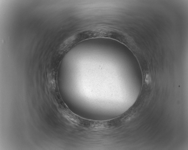 X0000060550771200511101536