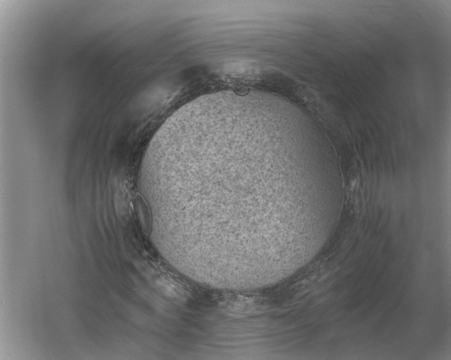 X0000060550772200511101536