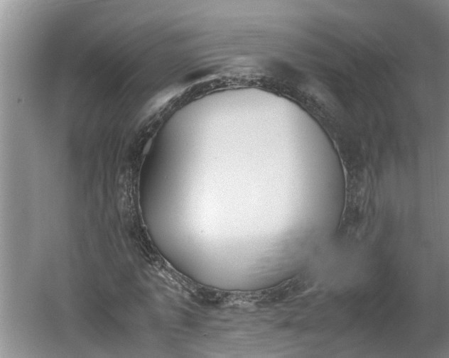 X0000060550773200511101536