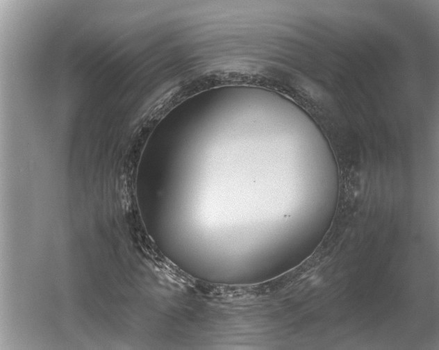 X0000060550774200511101536