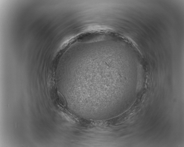 X0000060550775200511101536