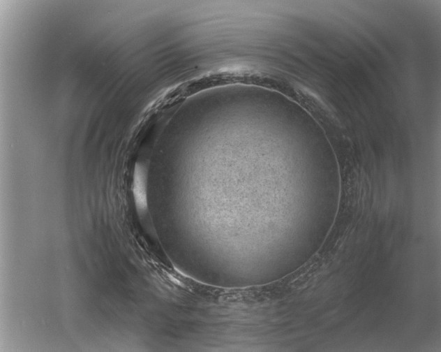 X0000060550776200511101536