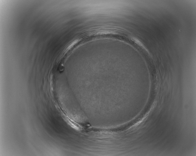 X0000060550777200511101536