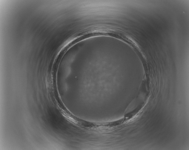 X0000060550779200511101536