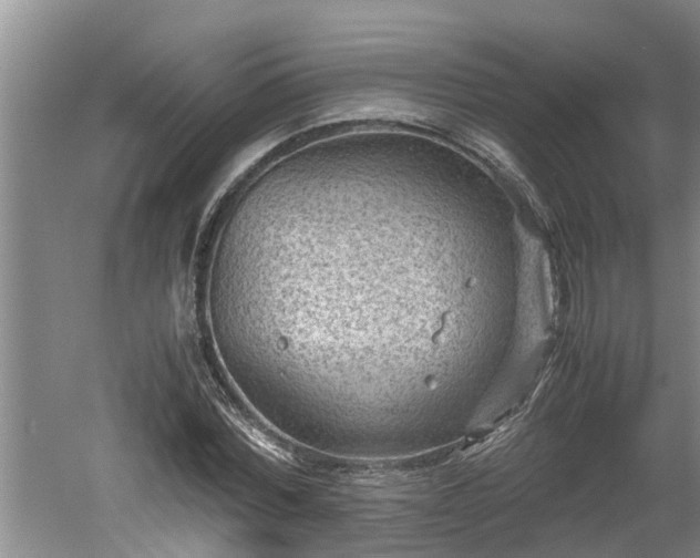 X0000060550780200511101536