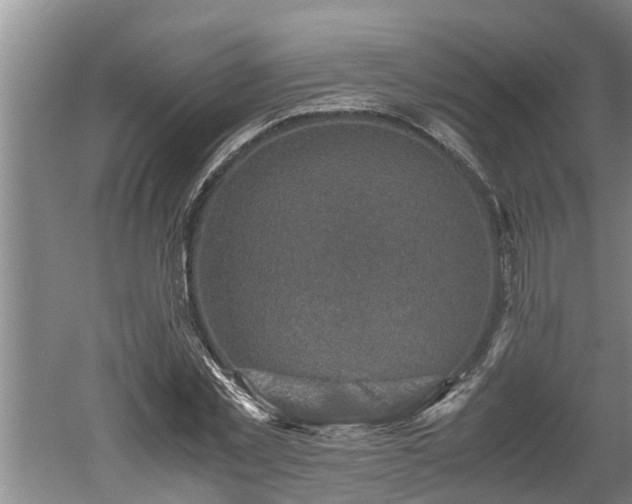 X0000060550781200511101536