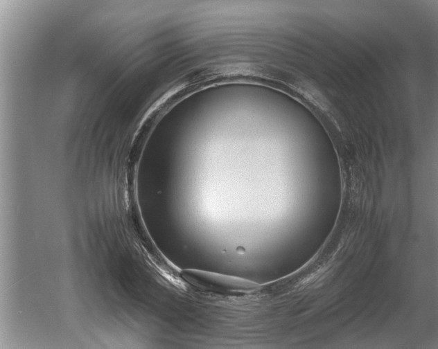 X0000060550782200511101536