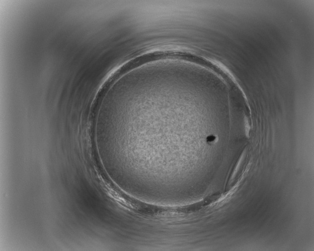 X0000060550783200511101536