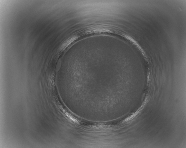 X0000060550785200511101536