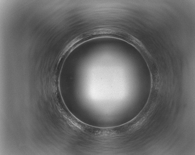 X0000060550786200511101536