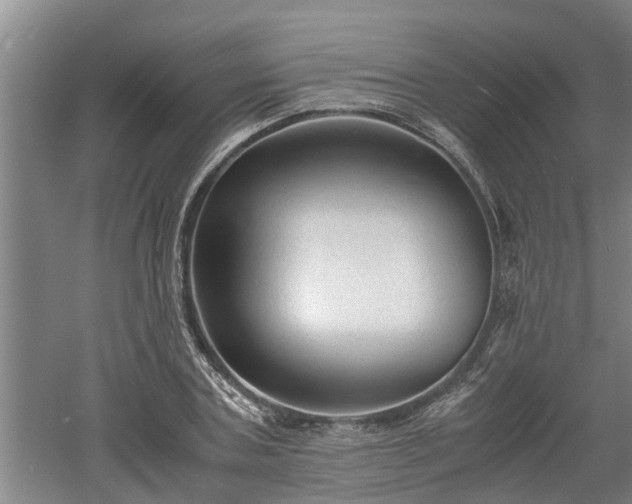 X0000060550787200511101536