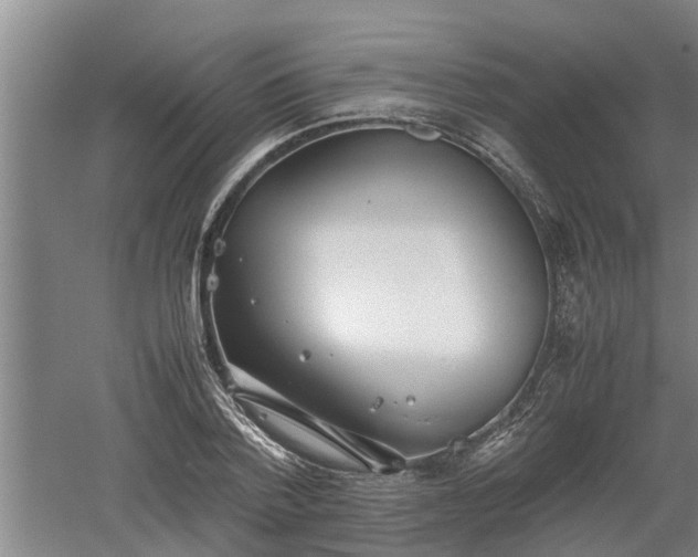 X0000060550788200511101536