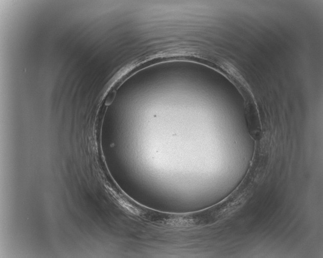 X0000060550789200511101536