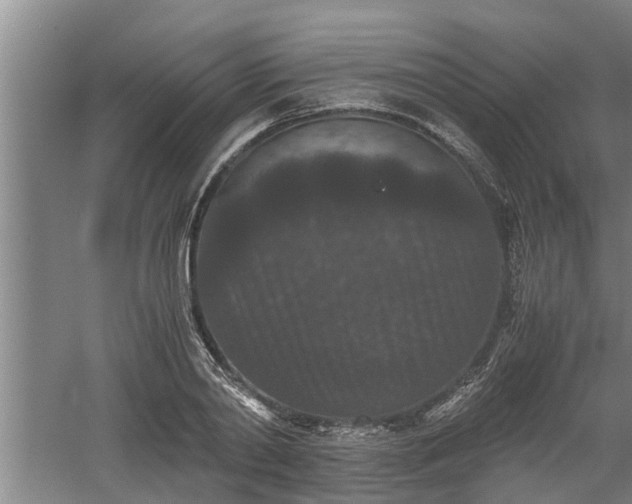 X0000060550790200511101536